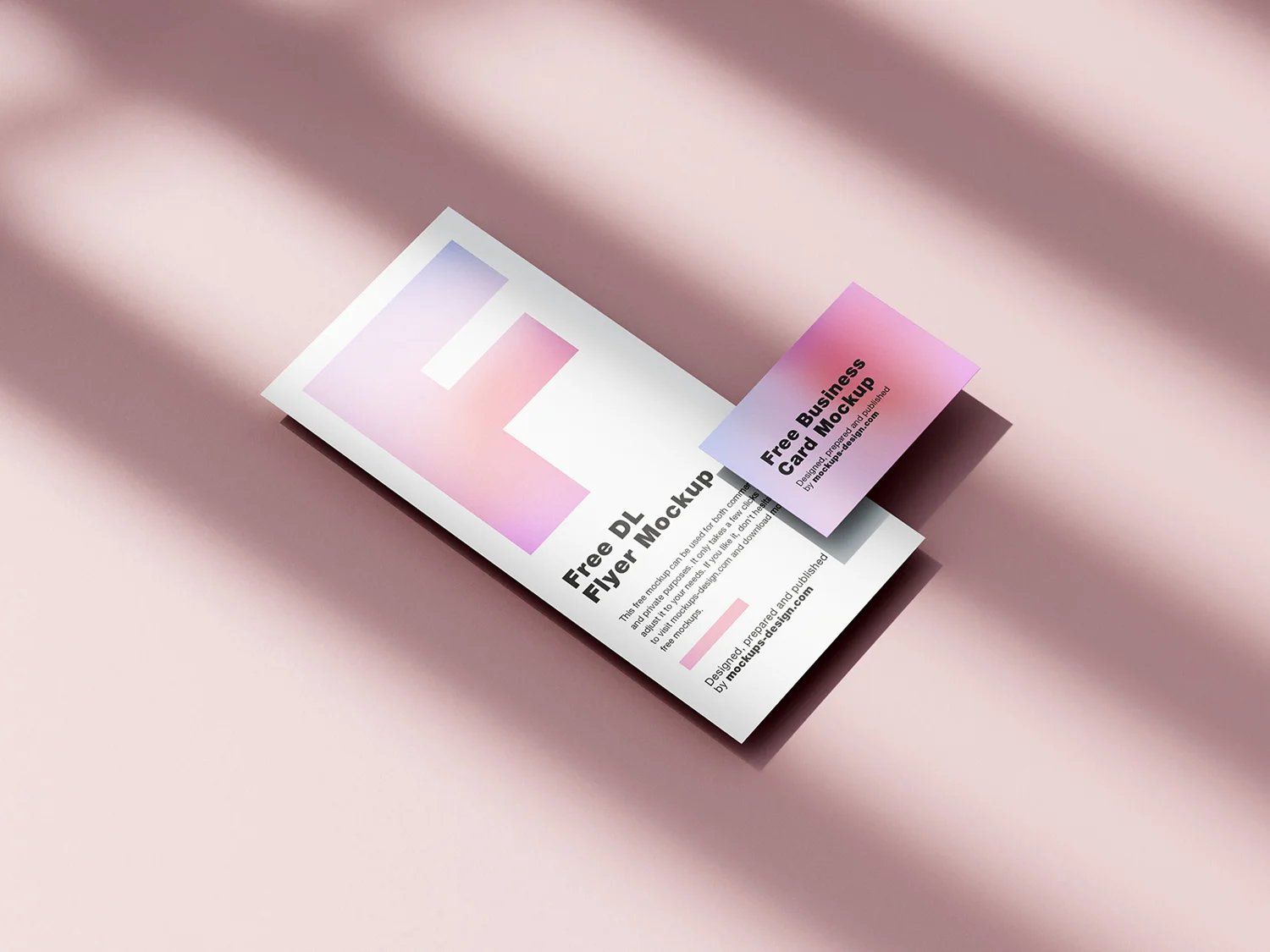 DL Flyer With Business Card Mockup