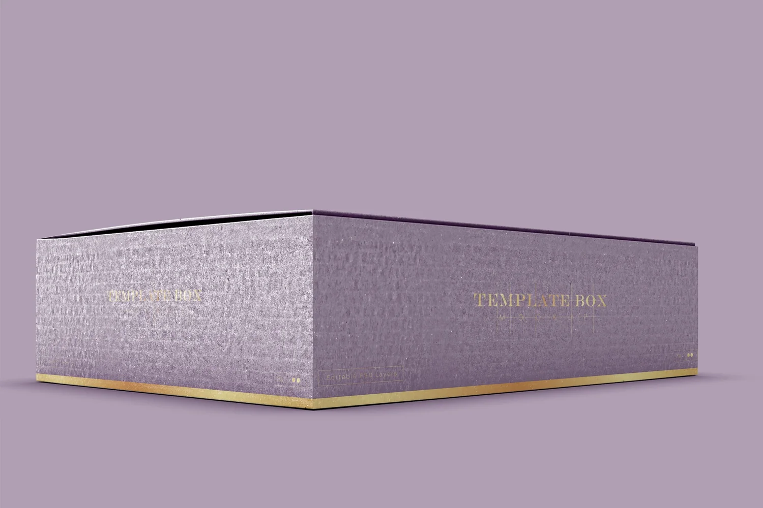 Rectangular Cardboard Box Mockup